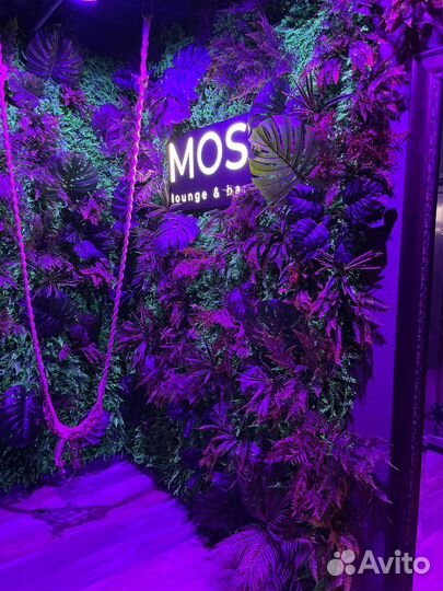 Готовый бизнес кальянная 