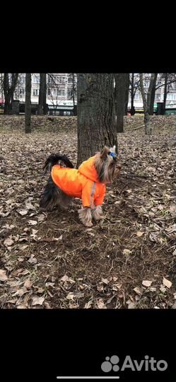 Курточка утепленная для собак