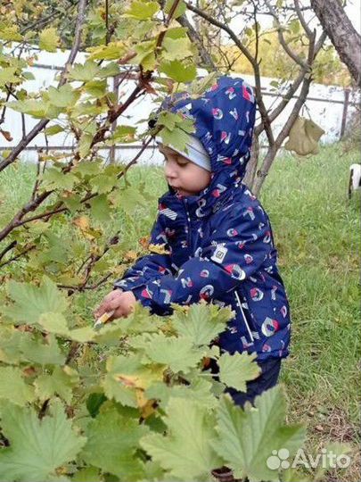 Демисезонный костюм