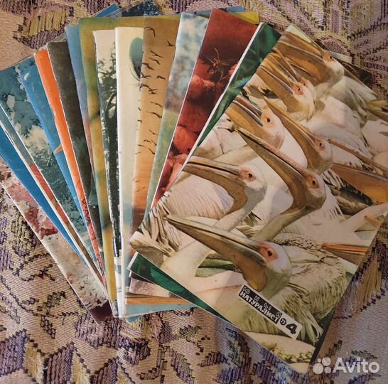 Журнал юный натуралист 73-74г