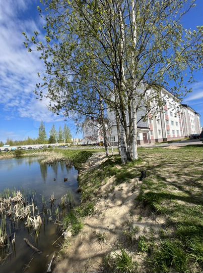 1-к. квартира, 42,8 м², 1/5 эт.