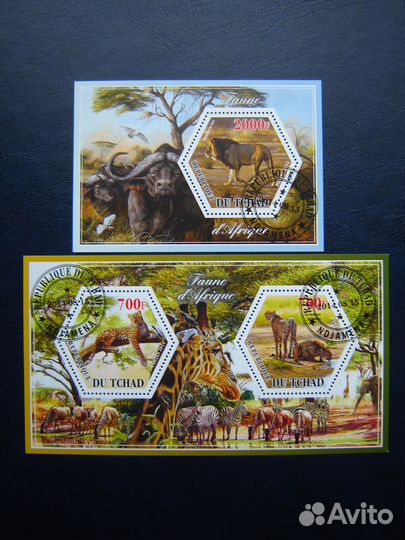 Фауна Африки