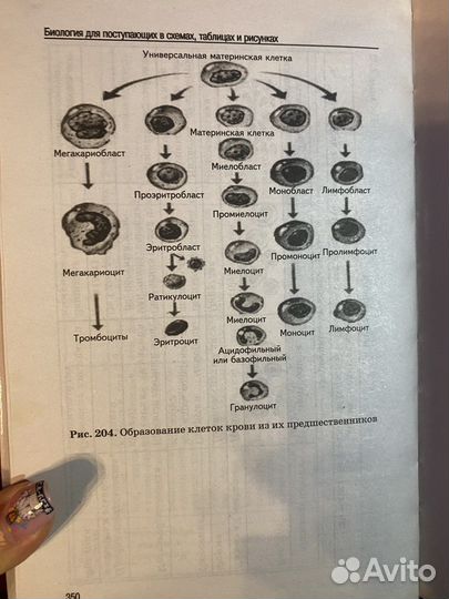 Биология в схемах, таблицах и рисунках