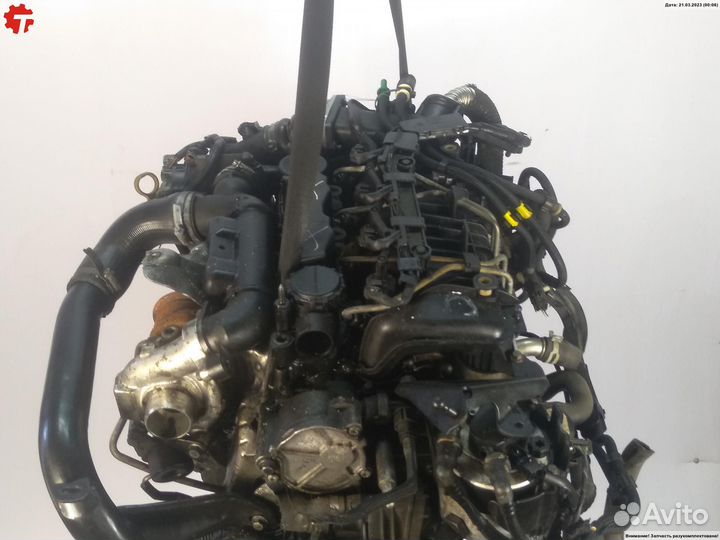 Двигатель G8D Ford Focus 2 (2004-2011)