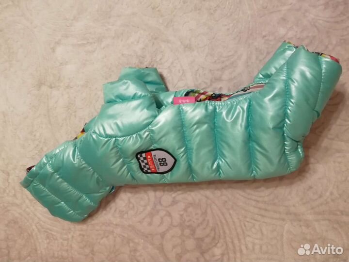 Одежда для собаки мелкой породы