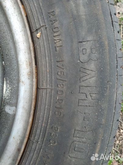 Forward Dinamic 156 185/75 R16 44ZR