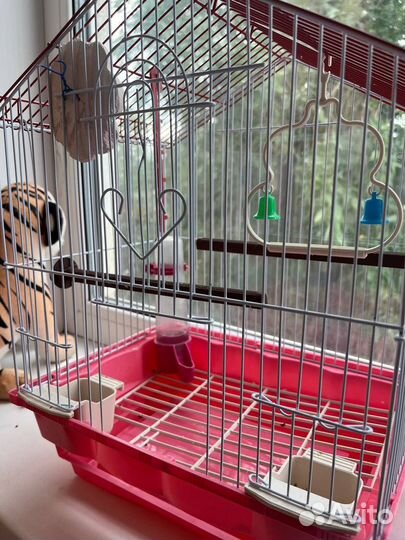 Клетка для попугая