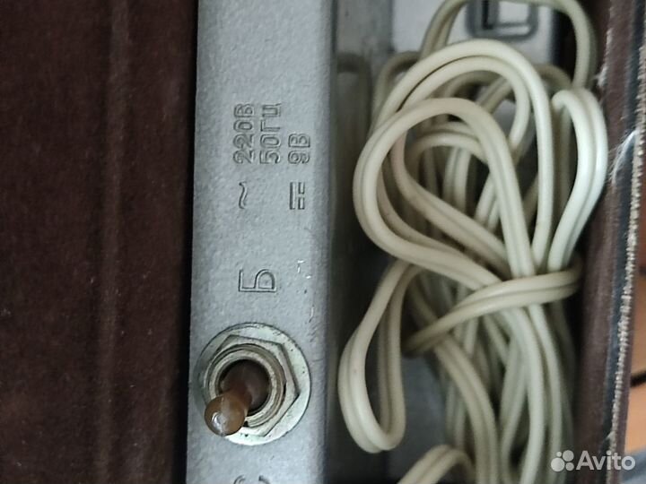 Фотовспышка чайка