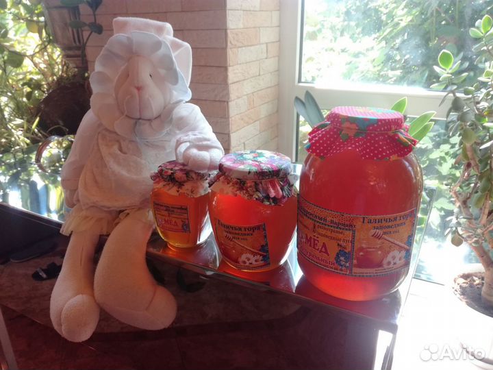 Свежий мед 2023 года из заповедных мест Задонска