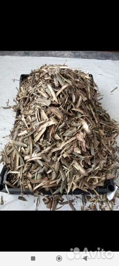 Осиновая кора