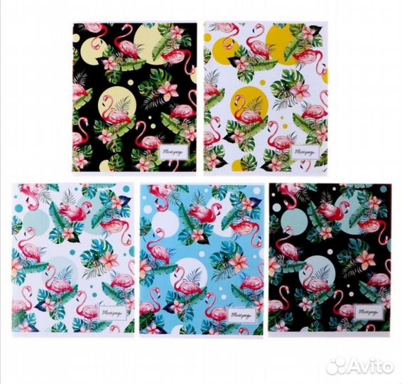 Тетрадь 12,18, 36, 48л клетка, линейка