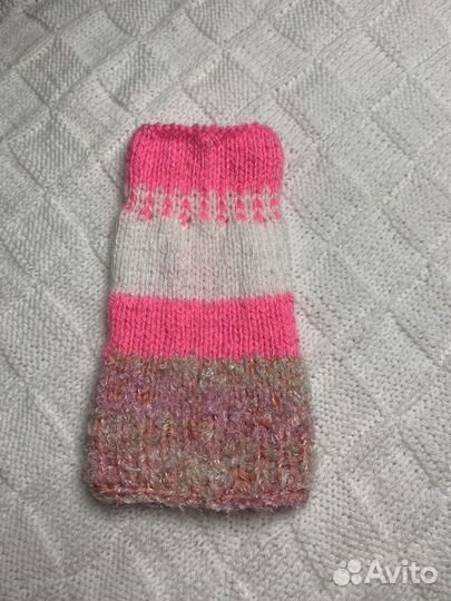 Одежда для животных