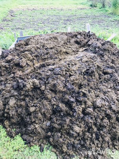 Коровий навоз