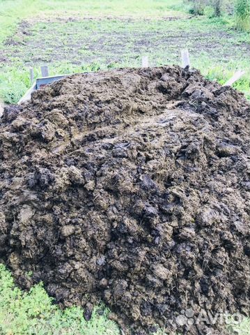 Коровий навоз