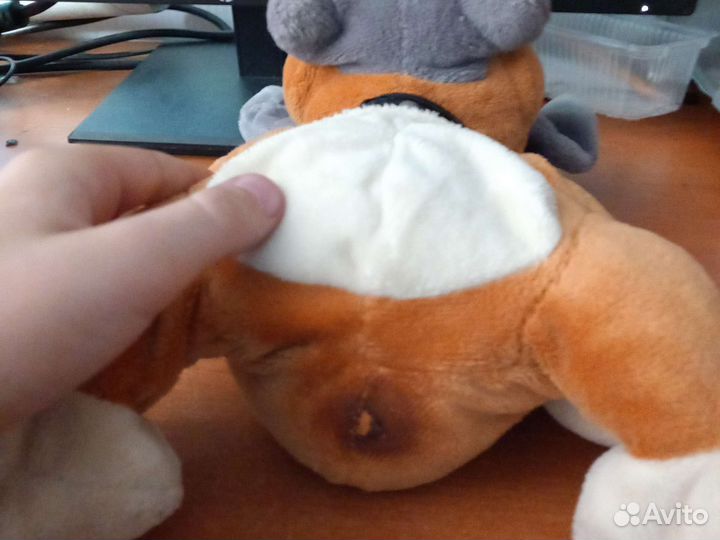 Собака моргенштерна