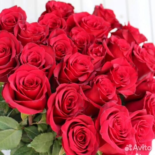 Розы, букет цветов