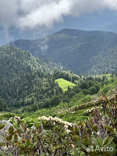 Индивидуальные туры