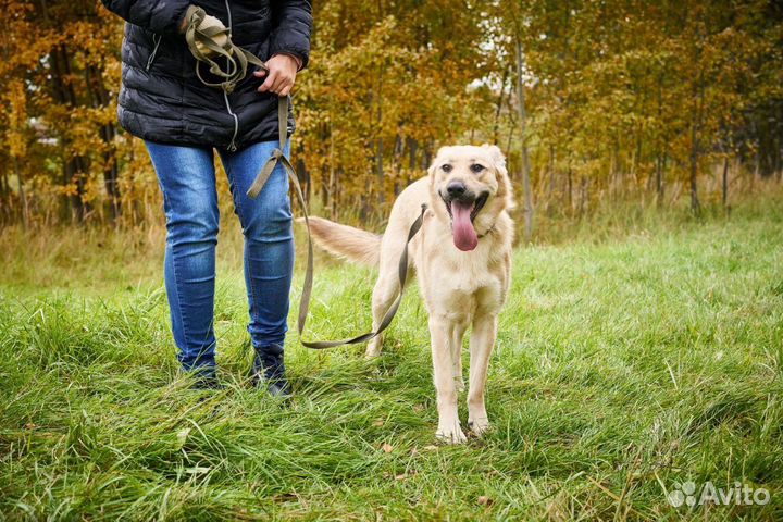 Бьянка жизнерадостная и ласковая