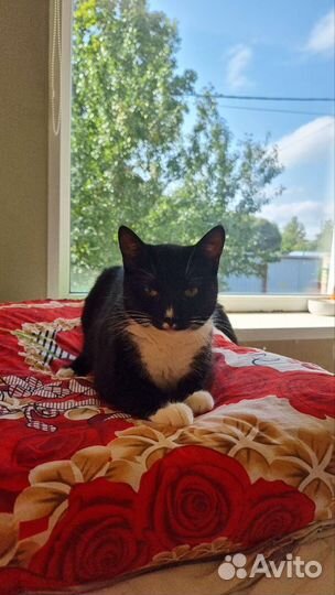 Забери меня домой