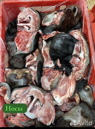 Мясо для собак. Носы, губы,уши. Говядина