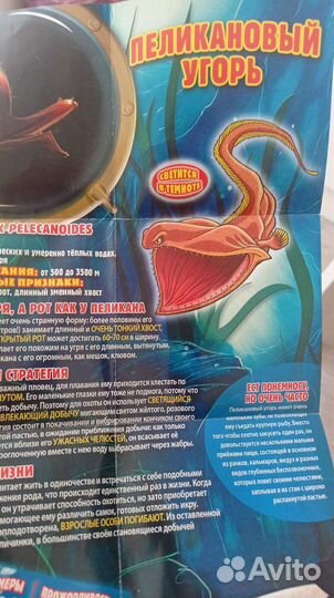 Морские монстры и ко