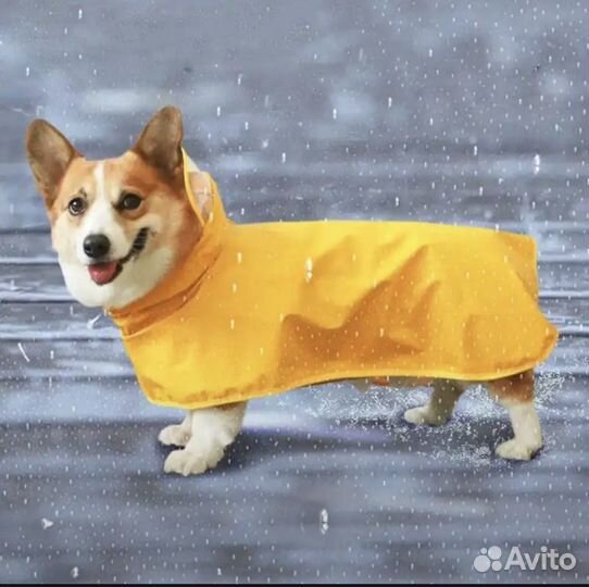 Дождевик для собаки