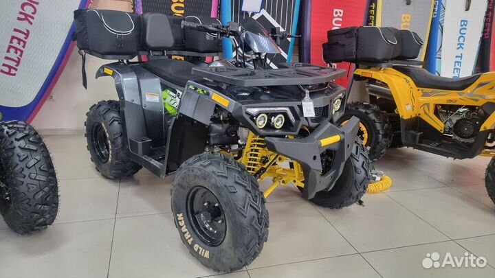 Квадроцикл Motoland 200 Wild Track Lux (баланс. ва