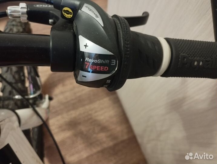 Велосипед Focus Raven Rookie 20