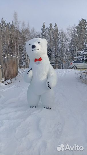 Белый мишка поздравление ростовой медведь аниматор