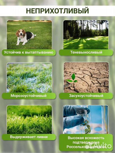 Семена газонной травы,семена газона, газон