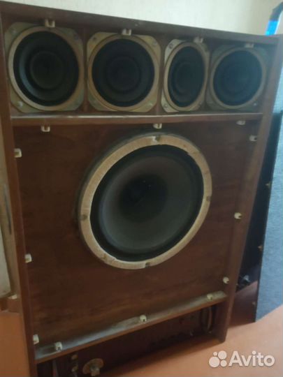 Beag HEC 12 колонки