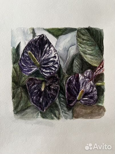 Картина ботаническая иллюстрация акварель