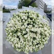 Огромный букет кустовых роз, Краснодар, Краснодар