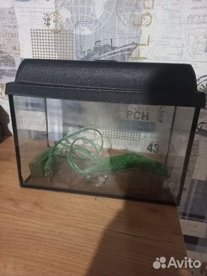 Аквариум
