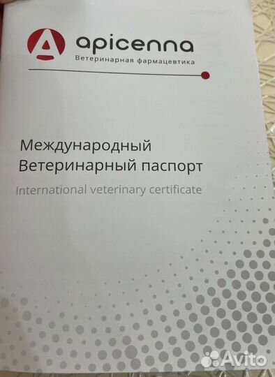Ротвейлер щенки