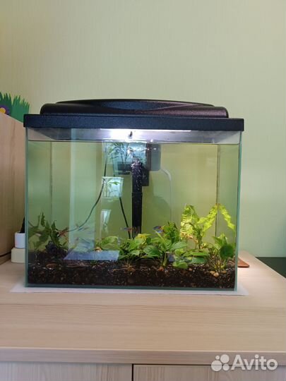 Аквариум с рыбками