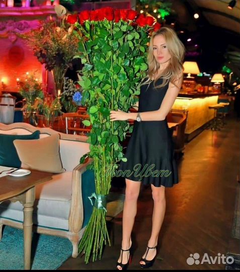 Высокие розы гигантские розы длинные розы