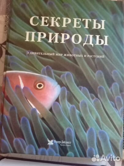 Много разных книг