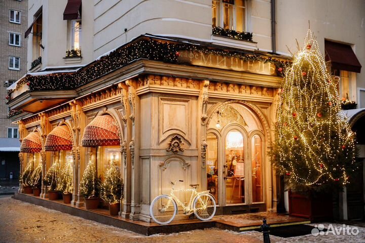 Помощник официанта/ ранер