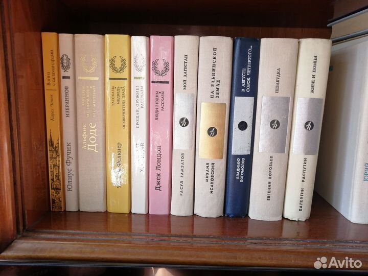 Библиотека зарубежной классики и Дружбы народов