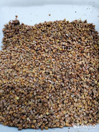 Красота и здоровье