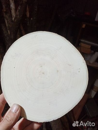 Торцевые спилы деревьев