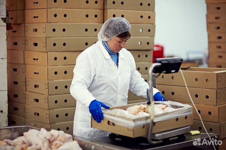 Работа на птицефабрике: гибкий график