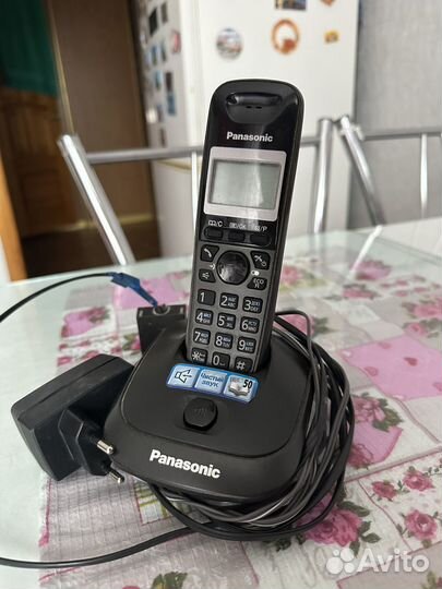Panasonic