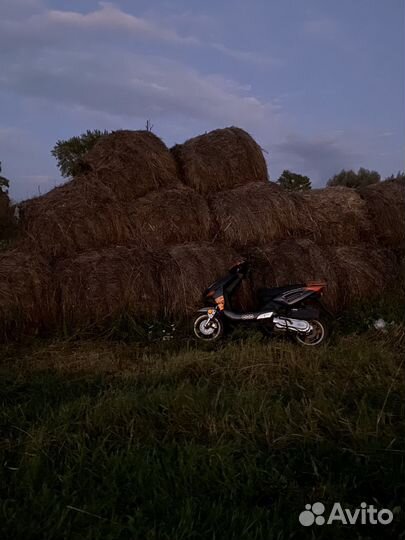 Flash 150-cc sport