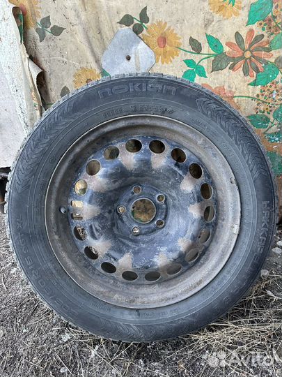 Nokian Tyres Hakkapeliitta 8 205/60 R16