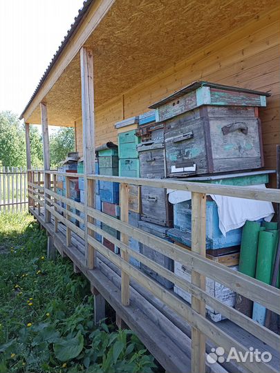 Продам ульи для пчел