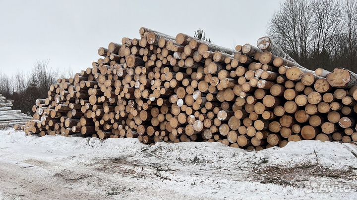 Продам лес кругляк пиловочник хвойный