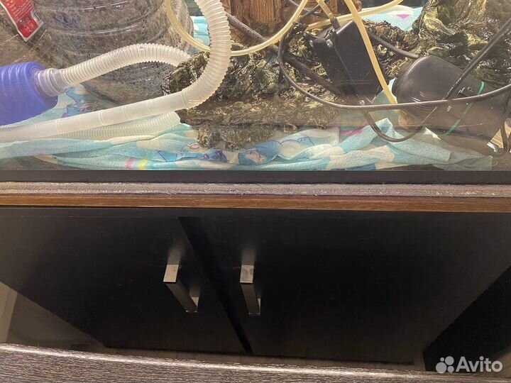 Аквариум 150л с тумбой и аксессуарами
