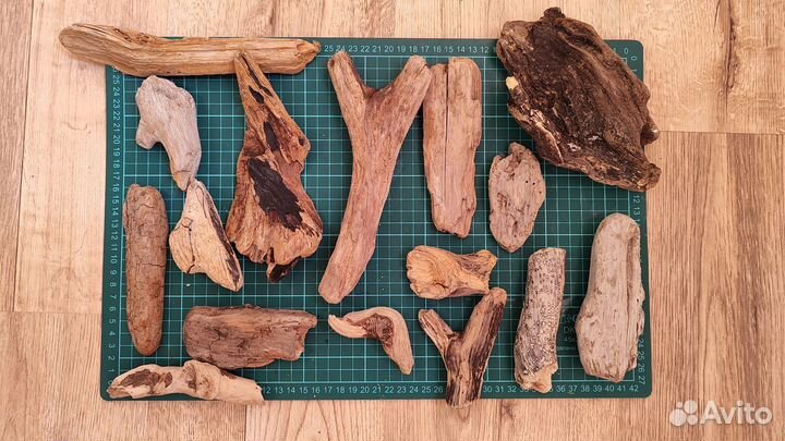 Коряги дрифтвуд